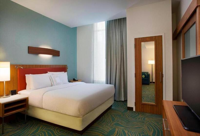 带大床的标准工作室, Springhill Suites By Marriott Houston Downtown/convention Center