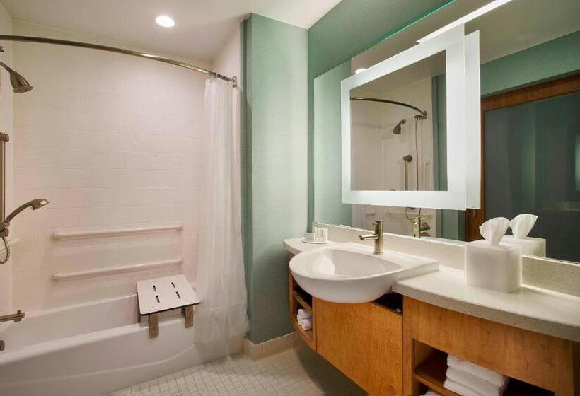 带双人床的标准工作室, Springhill Suites By Marriott Houston Downtown/convention Center