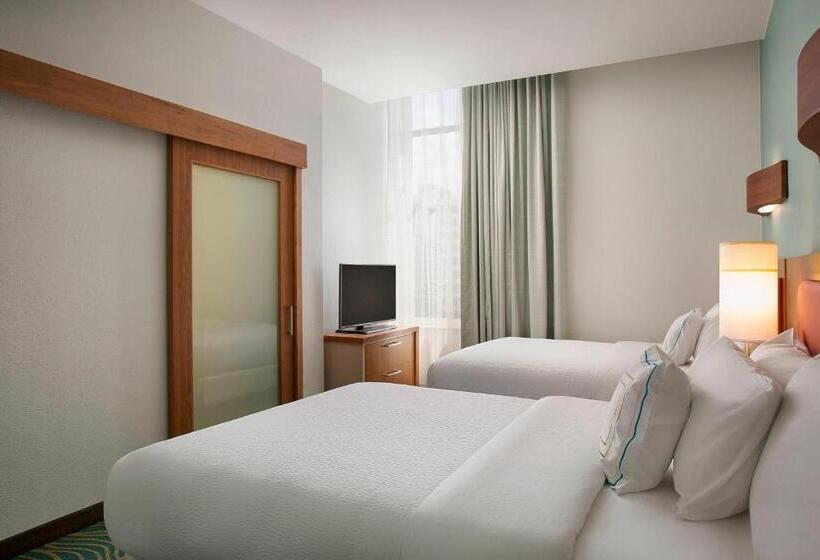 带双人床的标准工作室, Springhill Suites By Marriott Houston Downtown/convention Center