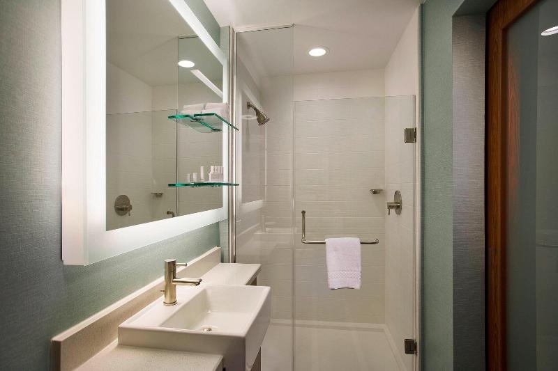 带大床的标准工作室, Springhill Suites By Marriott Houston Downtown/convention Center