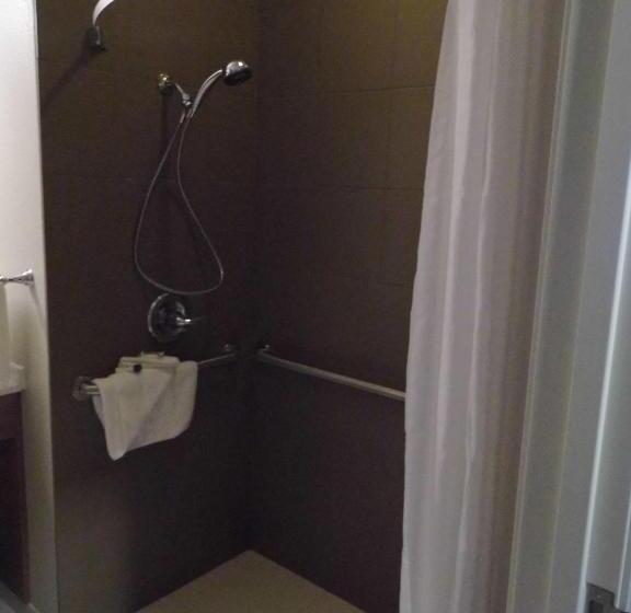 Номер Стандарт Адаптированный для Инвалидов, Microtel Inn & Suites By Wyndham Vernal/naples