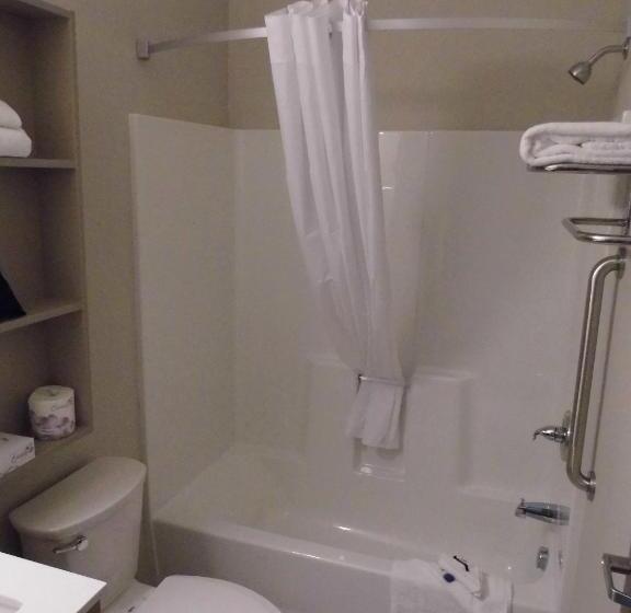 Студия Стандарт, Microtel Inn & Suites By Wyndham Vernal/naples