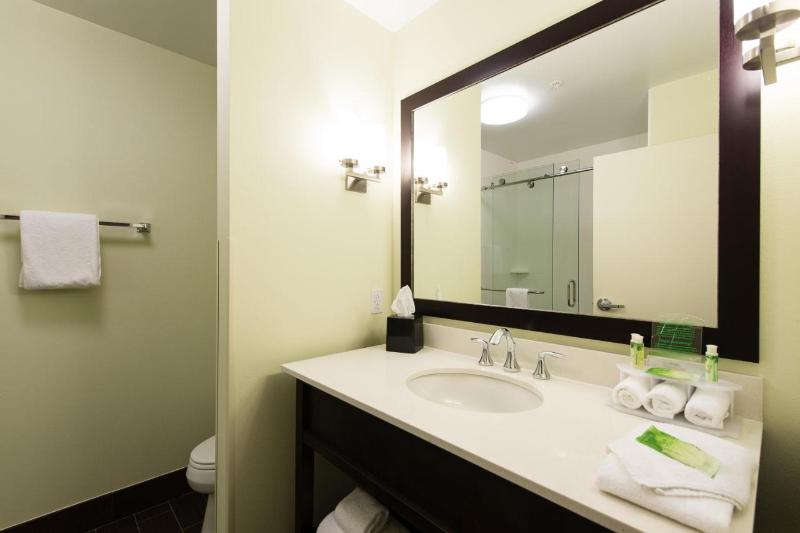 带大床的套房, Holiday Inn Express & Suites Aiken, An Ihg