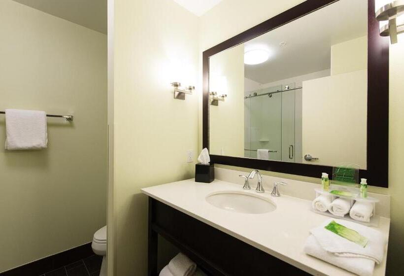 适合残疾人使用的标准间, Holiday Inn Express & Suites Aiken, An Ihg