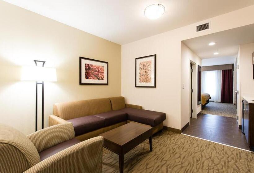 带大床的套房, Holiday Inn Express & Suites Aiken, An Ihg