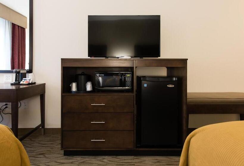 标准间, Holiday Inn Express & Suites Aiken, An Ihg