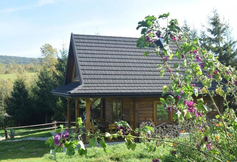 Chalet 1 Dormitório, Apartamenty Pod Werchowyną