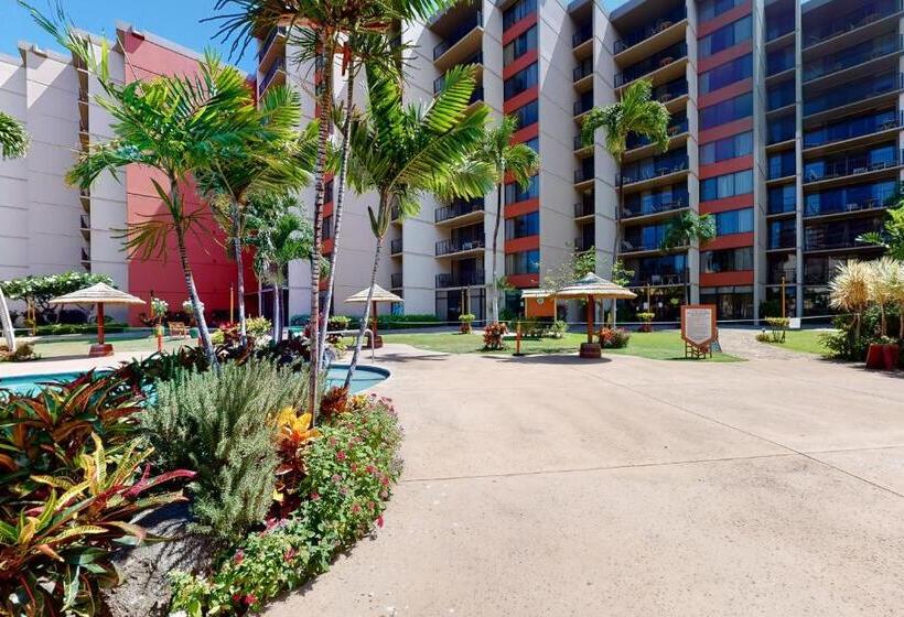 Студия Стандарт, Kaanapali Shores 732