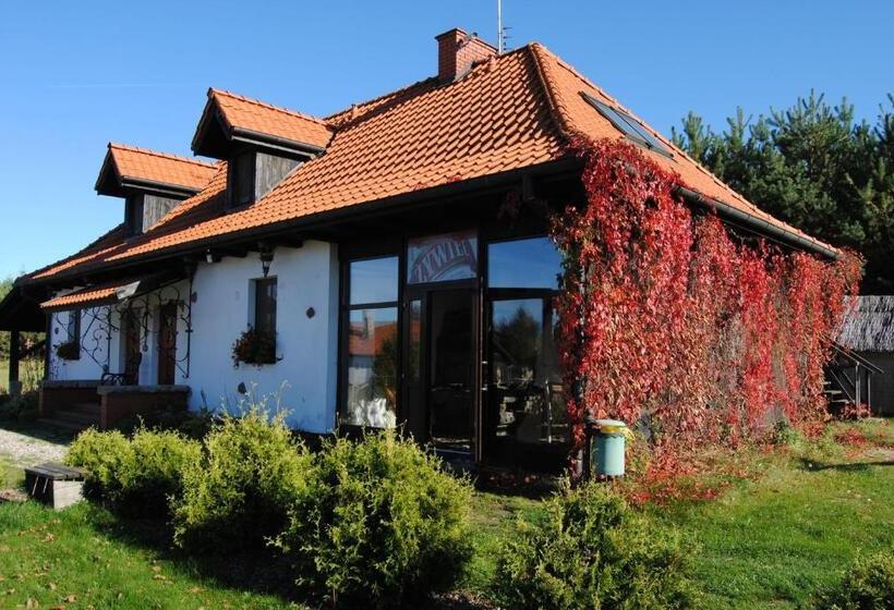 Студия Стандарт, Siedlisko Konradówka