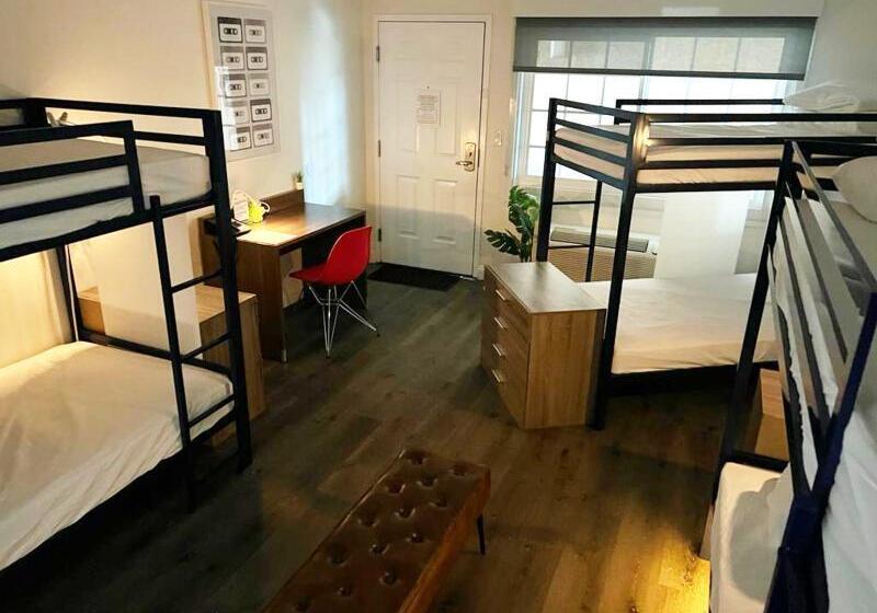 스탠다드 싱글 룸, City Lodge Accommodation