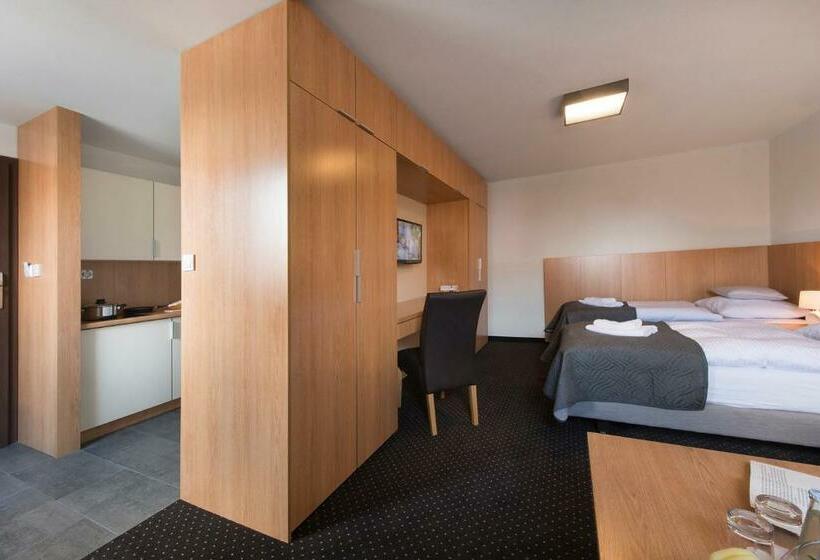 Студия Стандарт, Apartamenty Turek