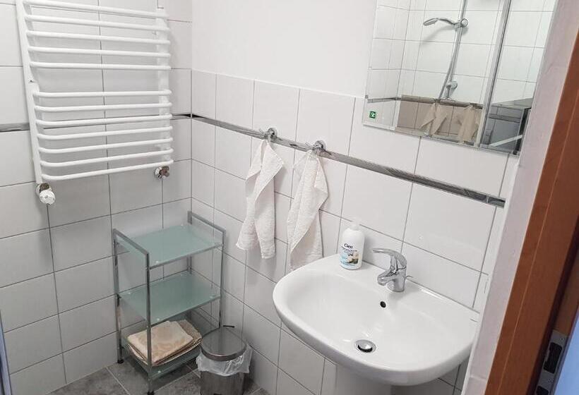 Apartamento Deluxe 1 Dormitório, Gościniec Słoneczny