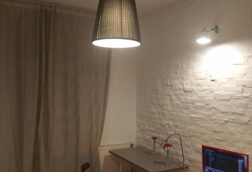 コンフォートルーム, Kaktus Guest House