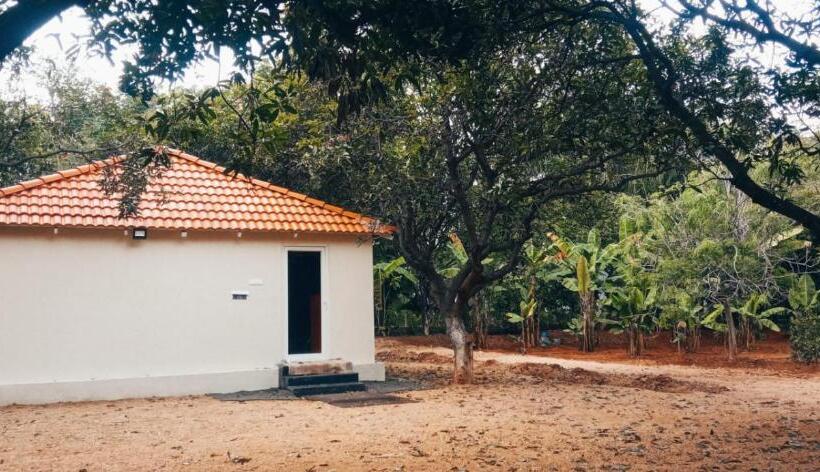 Номер Deluxe, Farm Stay Resort   Shamirpet, Hyderabad