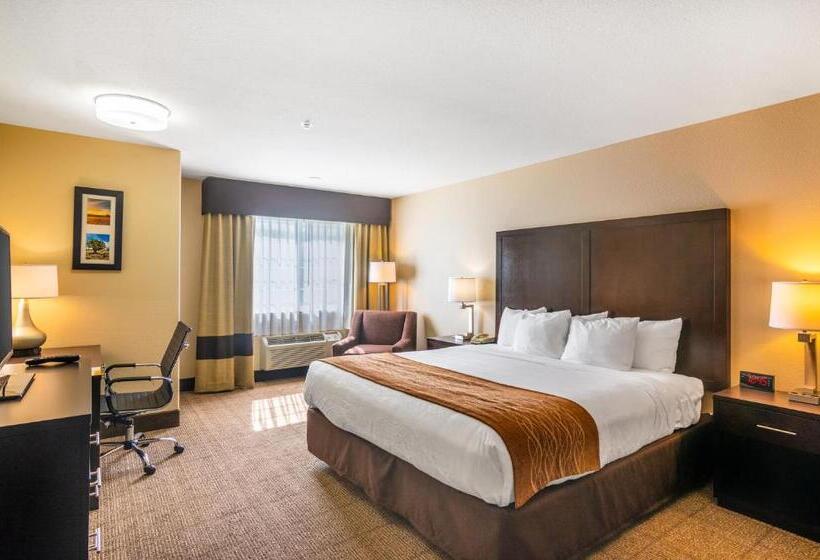 스탠다드 룸 킹사이즈 침대, Comfort Inn & Suites