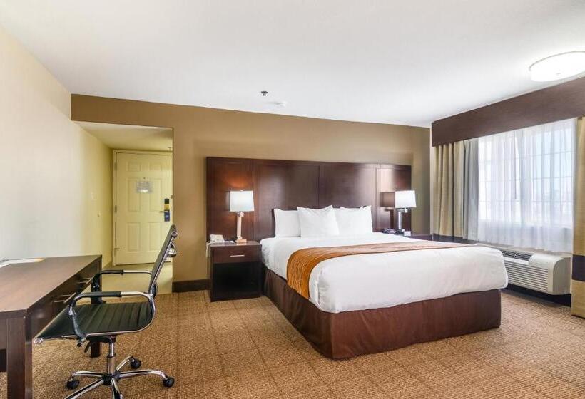 스위트 킹사이즈 침대, Comfort Inn & Suites