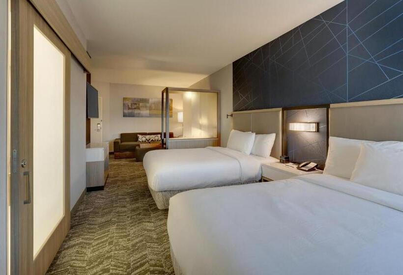 Utcára Néző Standard Szoba, Springhill Suites By Marriott Cheraw