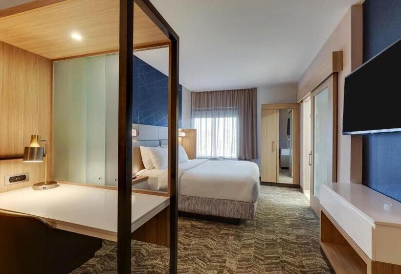 Standard Szoba King Size Bed, Springhill Suites By Marriott Cheraw
