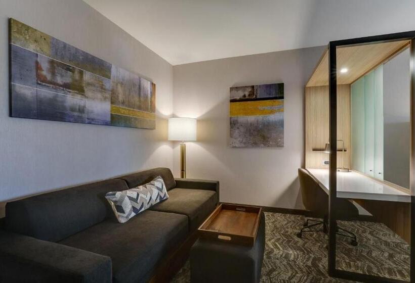 Standard Szoba King Size Bed, Springhill Suites By Marriott Cheraw