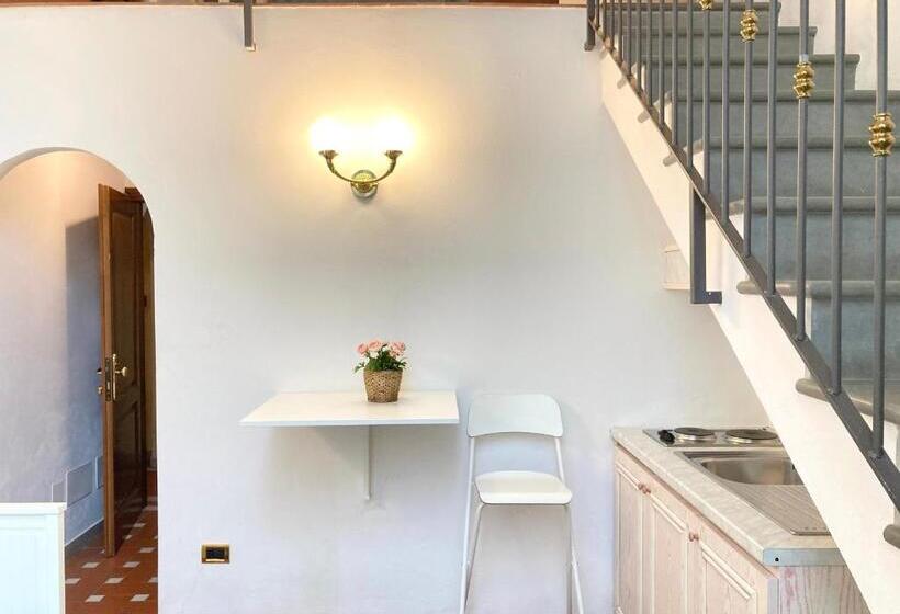 Студия Стандарт, Fantastic Garden   Firenze Nord