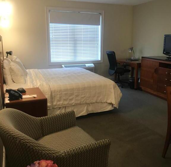 Студио Стандарт Кровать Кинг, Crescent Suites