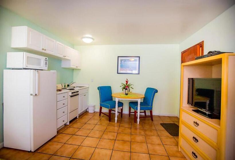 Номер Стандарт 2 Двуспальные Кровати, Leucadia Beach Inn