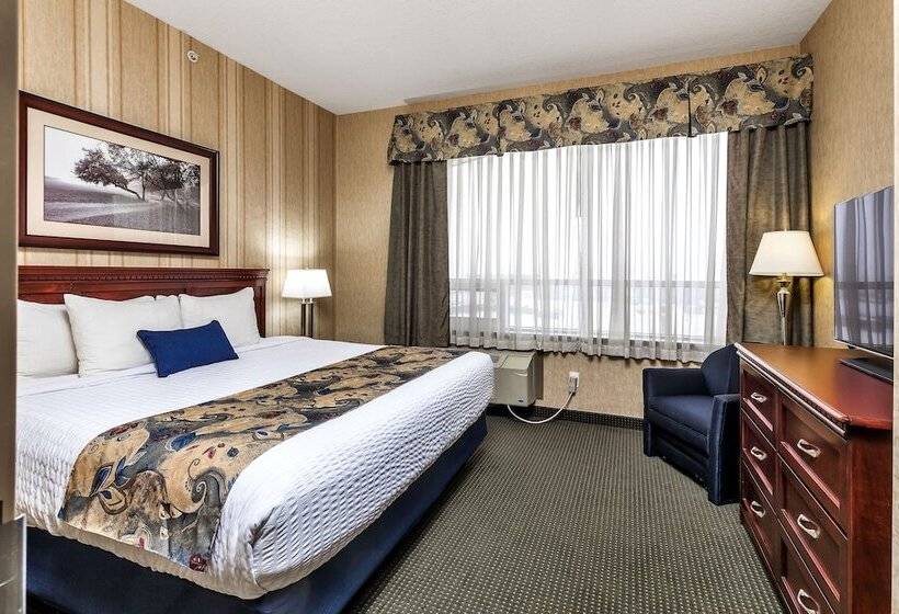 Президентский Люкс, Redwood Inn & Suites