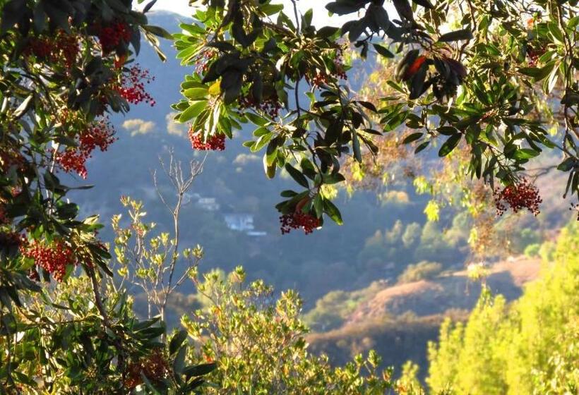 스탠다드 룸, Topanga Canyon Inn Bed And Breakfast