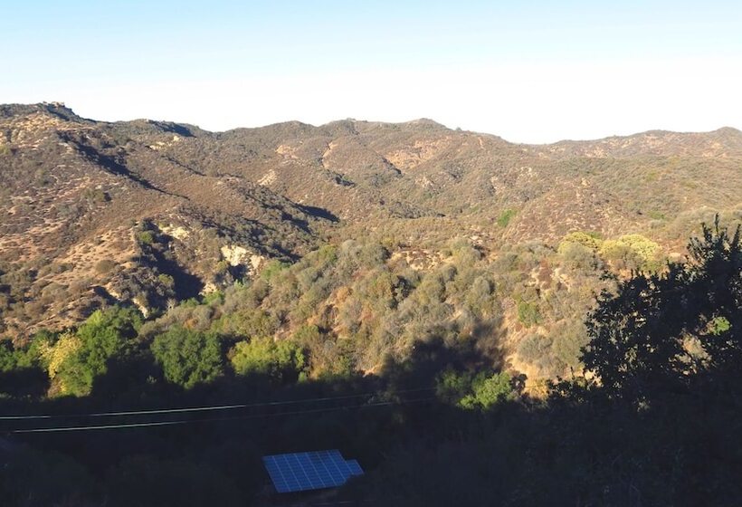 스탠다드 룸 퀸사이즈 침대, Topanga Canyon Inn Bed And Breakfast