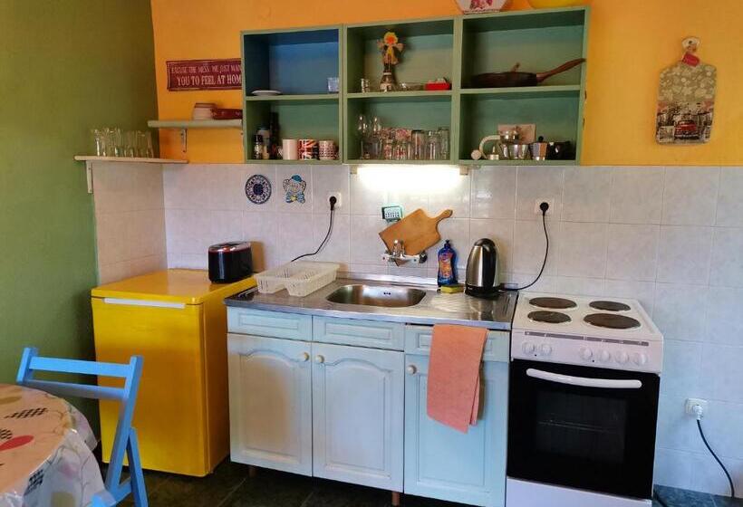 家庭工作室, вила фани синеморец