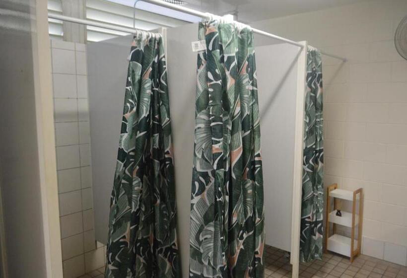 공동 객실, Youth Shack Backpackers Darwin