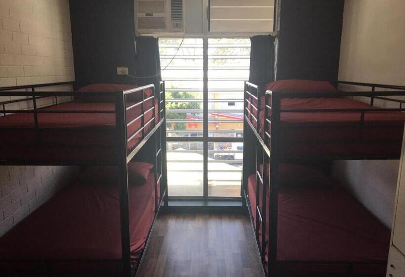 공동 객실, Youth Shack Backpackers Darwin