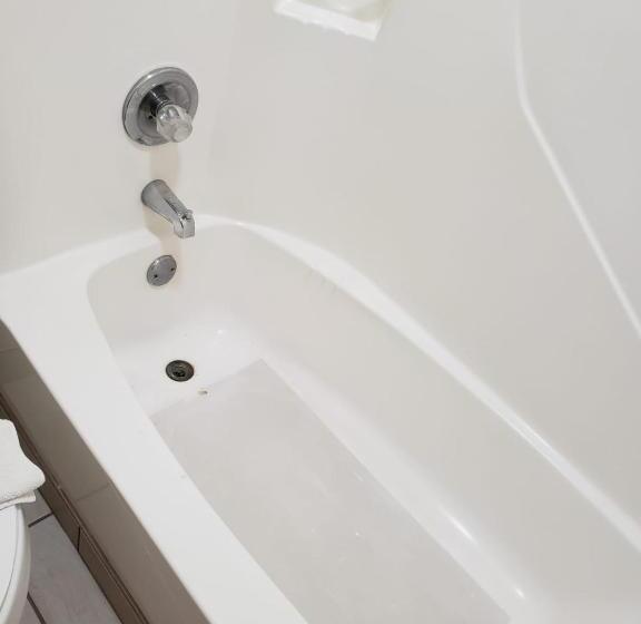 스탠다드 룸 킹사이즈 침대, Value Inn & Suites Salina