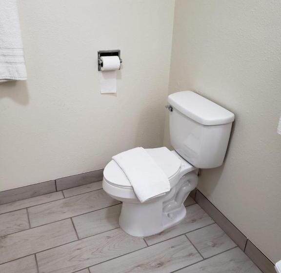 스탠다드 룸, Value Inn & Suites Salina