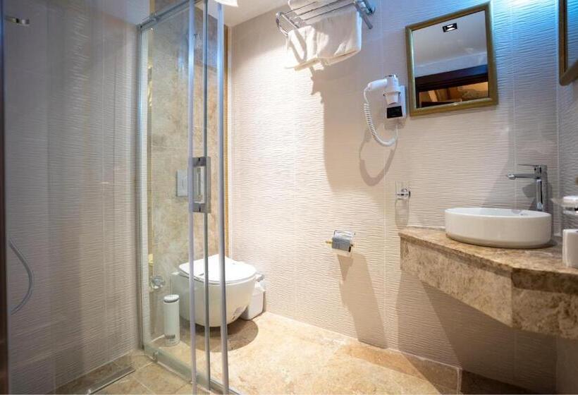 Deluxe Room, Castle Old Town