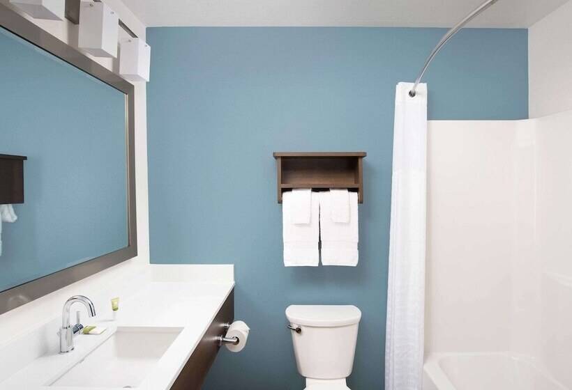 Номер Стандарт 2 Двуспальные Кровати, Woodspring Suites Holland  Grand Rapids