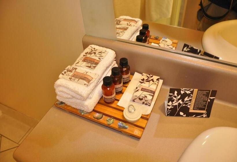 デラックススタジオ, Tuscany Villas Whakatane
