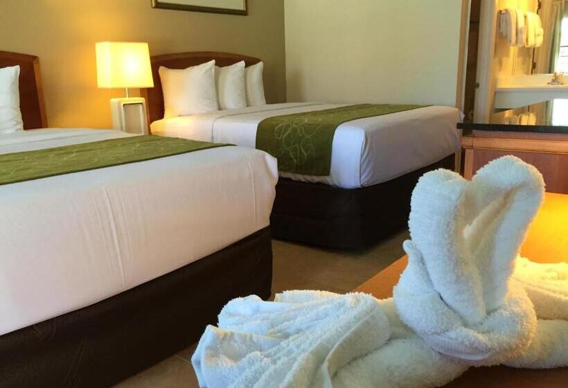 豪华房间, Seasons Florida Resort