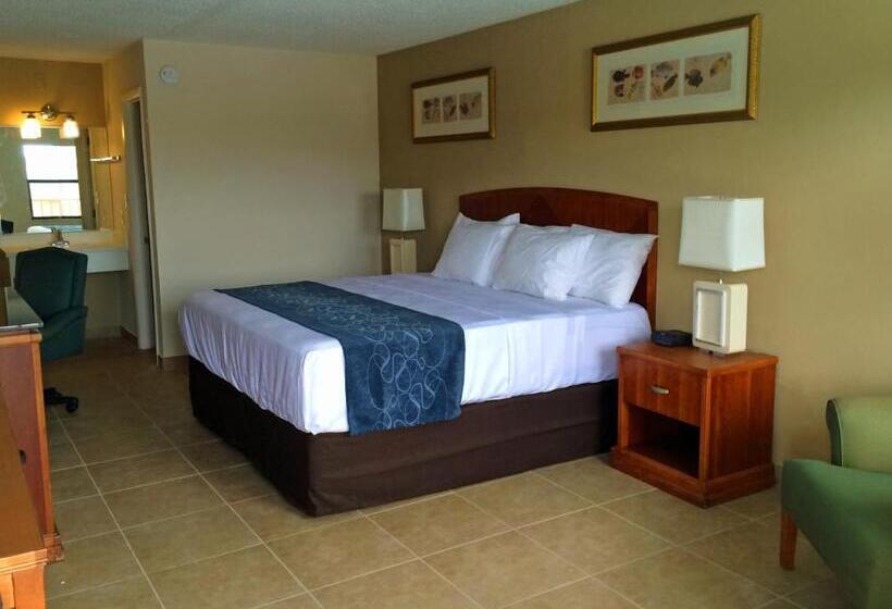 带大床的豪华间, Seasons Florida Resort