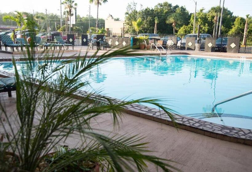 带大床的豪华间, Seasons Florida Resort