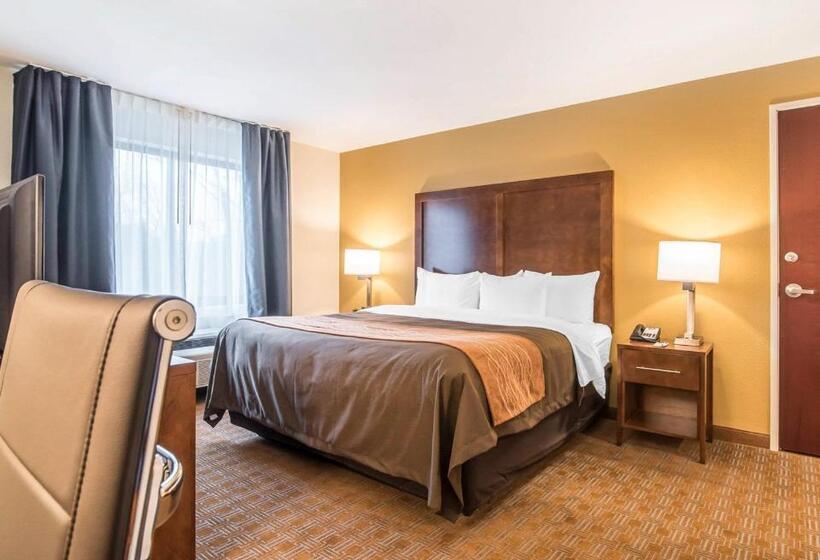 带大床的标准间, Comfort Inn & Suites Brattleboro I 91
