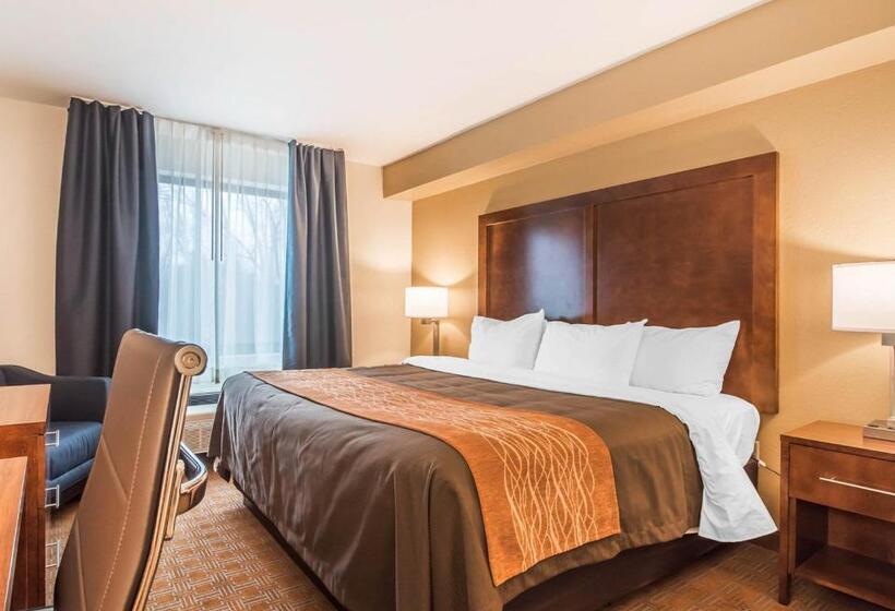 带大床的标准间, Comfort Inn & Suites Brattleboro I 91
