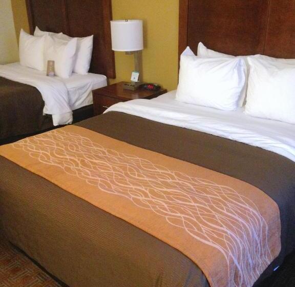 标准间, Comfort Inn & Suites Brattleboro I 91