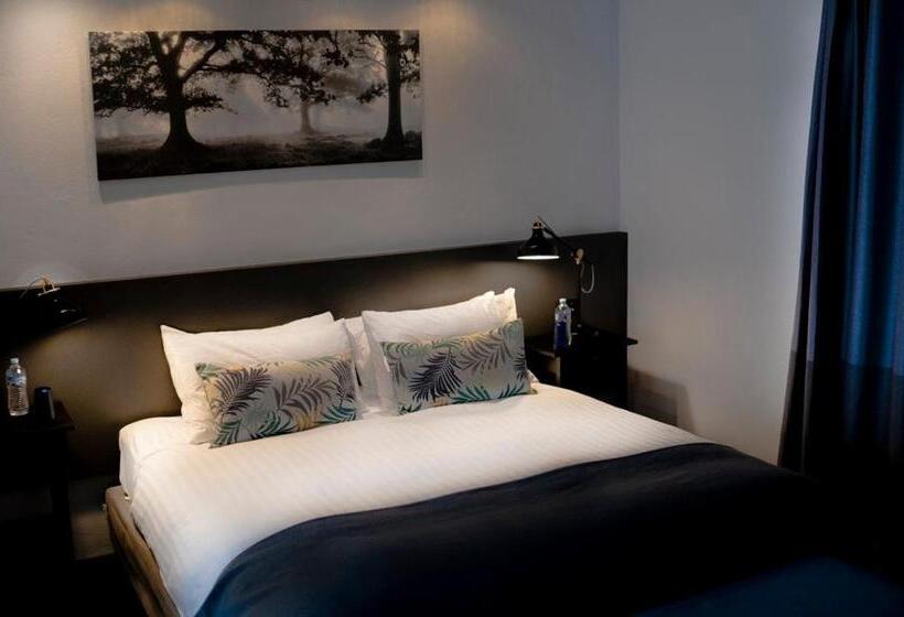 سوئیت با تخت بزرگ, The Oriana Orange   Retro Hotel & Resort