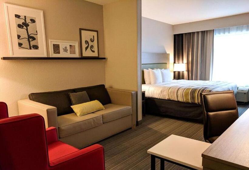 Люкс Адаптированный для Инвалидов, Comfort Inn & Suites