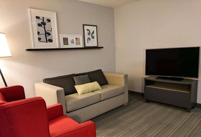 Люкс Адаптированный для Инвалидов, Comfort Inn & Suites