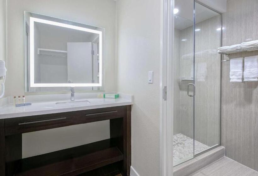 带大床的套房, Hawthorn Extended Stay By Wyndham Mcallen