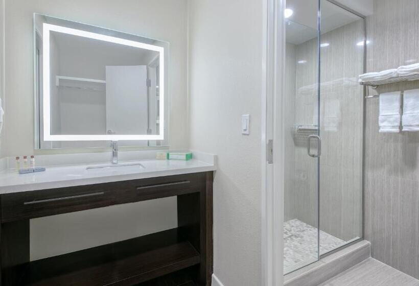 带大床的标准工作室, Hawthorn Extended Stay By Wyndham Mcallen