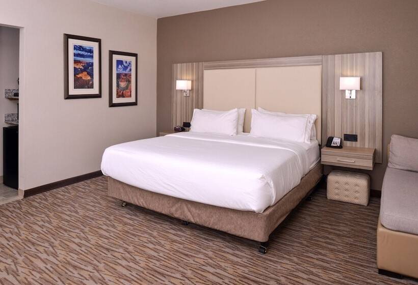 장애인을 위한 스탠다드 룸, Holiday Inn Express & Suites Williams, An Ihg