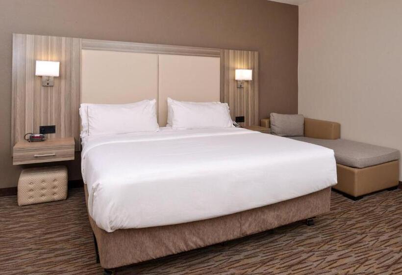 스탠다드 룸 킹사이즈 침대, Holiday Inn Express & Suites Williams, An Ihg